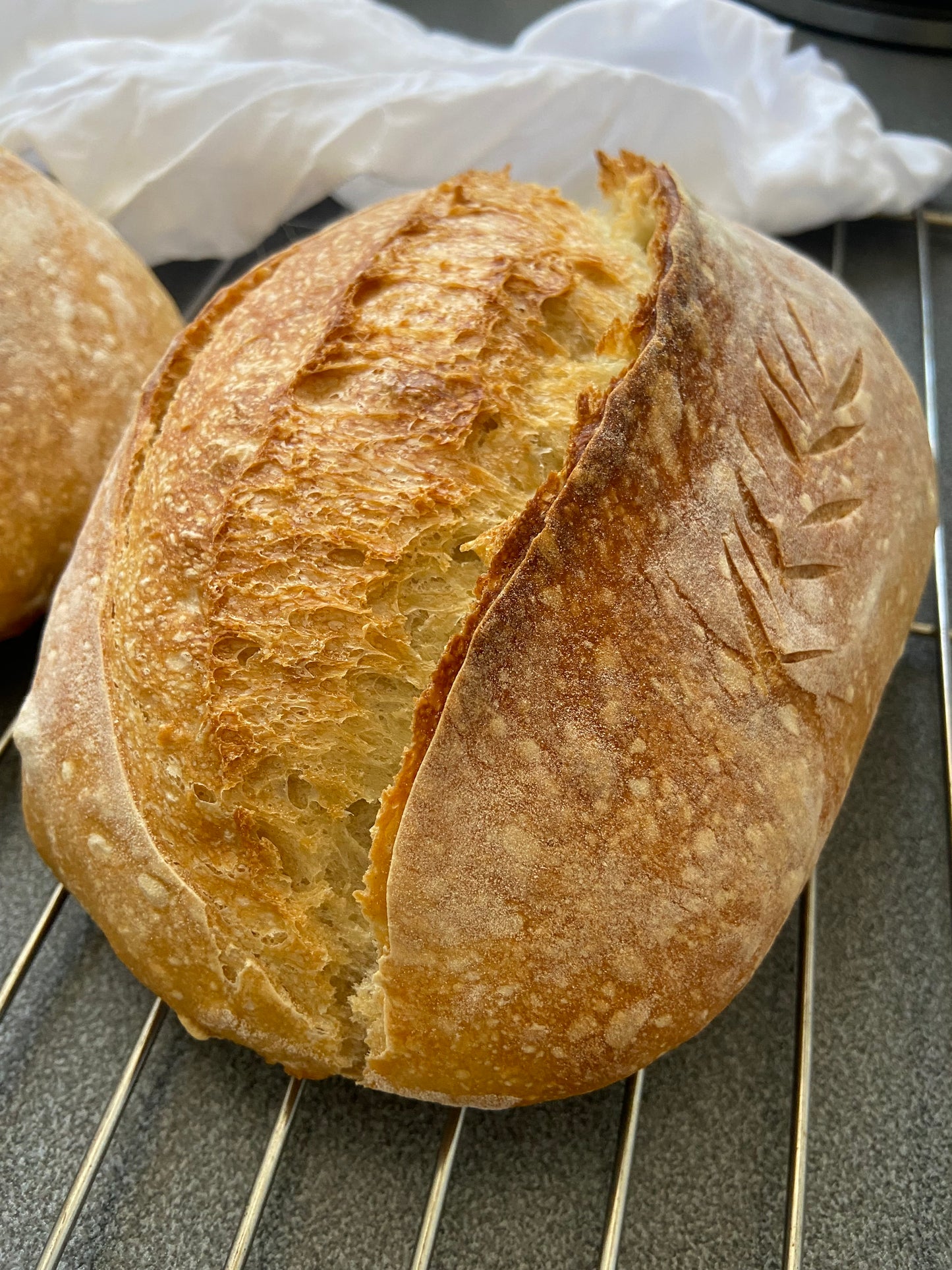 Masa Madre Integral y Blanco medio kilo